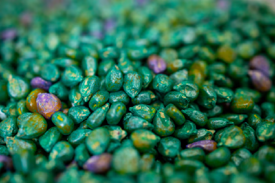 能源危机给一群农业微生物带来“救赎机会”  第3张